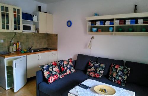 Rokytnice nad Jizerou Apartment | Apartmán Rokytka s balkonem