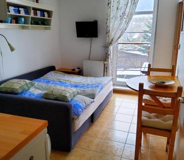 Rokytnice nad Jizerou Apartment | Apartmán Rokytka s balkonem