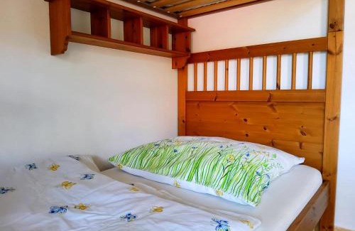 Rokytnice nad Jizerou Apartment | Apartmán Rokytka s balkonem