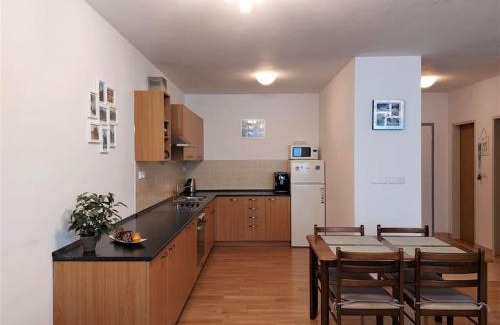Strbske Pleso Apartment | Apartmán s parkovaním priamo na Štrbskom Plese