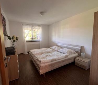 Chodova Plana Apartment | Apartmán Sadová 430