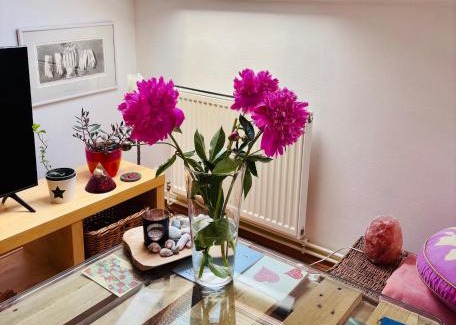Jablonec nad Nisou Apartment | Apartmán Stella