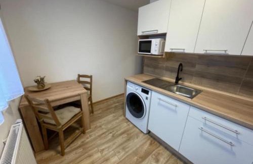 Strazny Apartment | Apartmán Strážný-Šumava