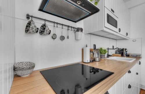 Lazne Belohrad Apartment | Apartmán U Javorky