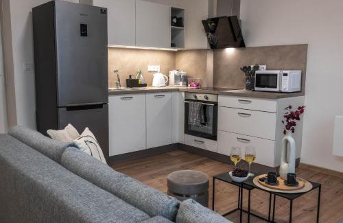 Olomouc Apartment | Apartmán u Výstaviště