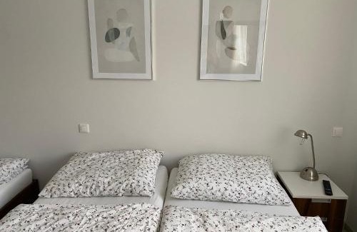 Loucna nad Desnou Apartment | Apartmán v Koutech