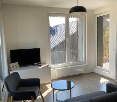 Stare Splavy Apartment | Apartmán v LakeParku