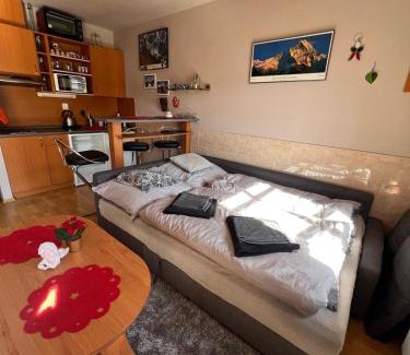 Ricky v Orlickych horach Apartment | Apartmán v Srdci hor - Říčky v Orlických horách