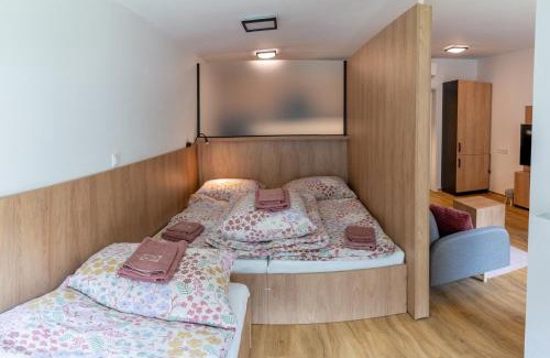 Dolni Morava Apartment | Apartmán Vilda