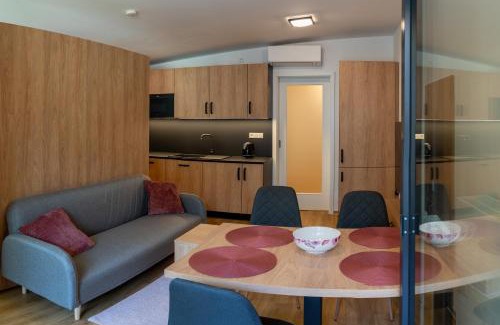 Dolni Morava Apartment | Apartmán Vilda