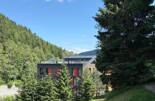Pec pod Snezkou Apartment | Apartmán Vlčice Residence 107, Pec pod Sněžkou