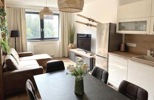 Cerny Dul Apartment | Apartmány Čerňák - Horňák - 4-6 osob, balkon, dvě parkovací místa