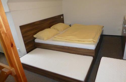 Loucna nad Desnou Apartment | Apartmány Kouty - Jeseníky