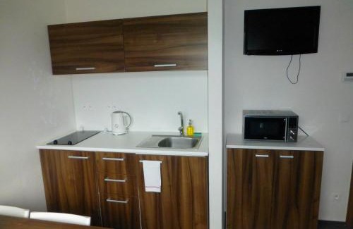 Loucna nad Desnou Apartment | Apartmány Kouty - Jeseníky