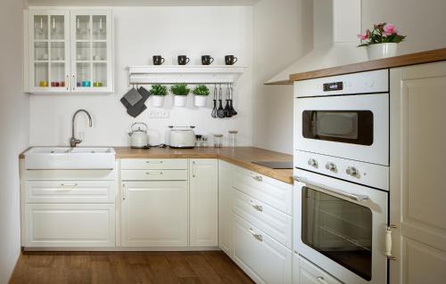 Ostrov Apartment | Apartmány Myslivna