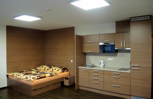 Dolni Morava Apartment | Apartmány na Dolní Moravě