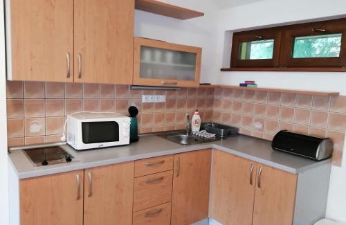 Horni Marsov Apartment | Apartmány pod vlekem