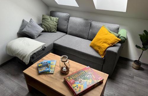 Cerna V Posumavi Apartment | Apartmány Rak Lipno