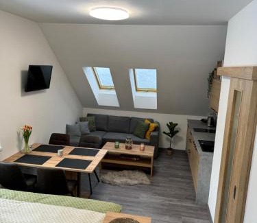 Cerna V Posumavi Apartment | Apartmány Rak Lipno