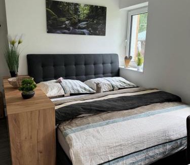 Cerna V Posumavi Apartment | Apartmány Rak Lipno