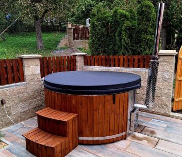 Trebusin Apartment | Apartmány Třebušín