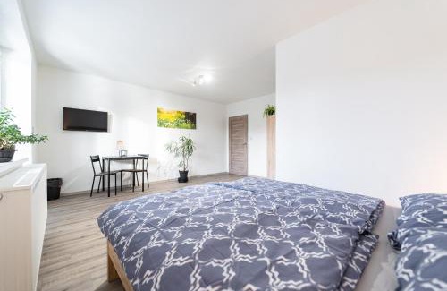 Miletin House | Apartmány TERA