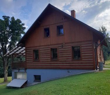Rokytnice nad Jizerou Apartment | Apartmány u Gothaje