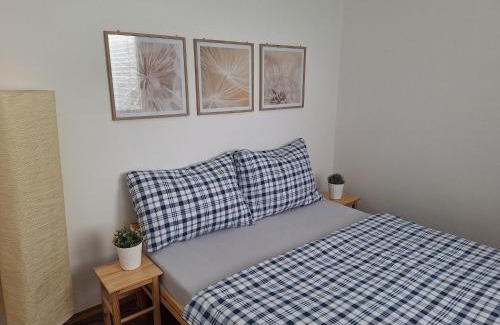 Hradec Kralove Apartment | Apartmány U Stříbrných