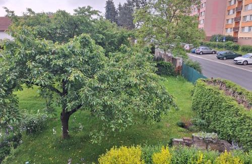 Hradec Kralove Apartment | Apartmány U Stříbrných