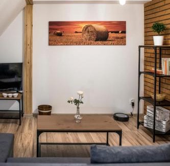 Heralec Apartment | Apartmány ve Dvoře