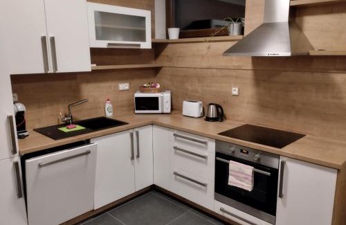 Svoboda nad Upou Apartment | Apartmány Zlatý Hamr