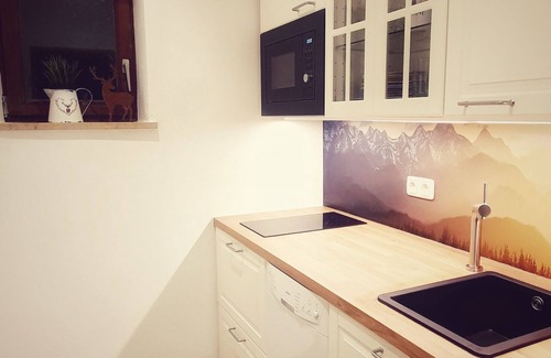 Ramsau Apartment | Apartment Enzian 3 persons 50sqm shower/WC balcony W-LAN TV