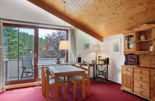 Schoenwald Apartment | Apartment 1 'Eule, 42qm' with Balcony and Wi-Fi