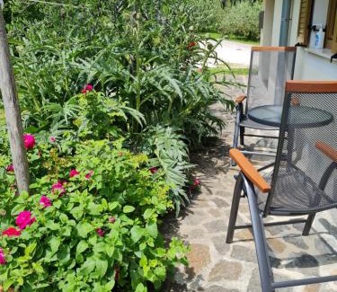 Krkavce Apartment | Apartma Istra Zora