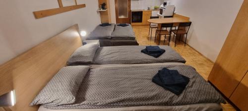 Izola Apartment | Apartma Luka with private parking