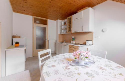 Studor Apartment | Apartma Mikelj