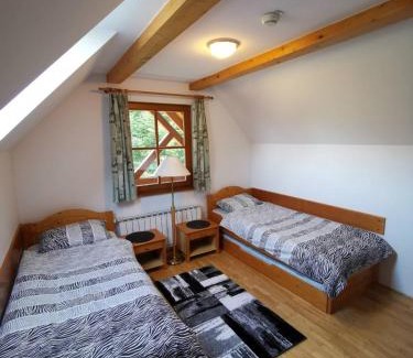 Hocko Pohorje Apartment | Apartma Pohorje Bolfenk 5010