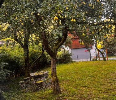 Tolmin Apartment | Apartma Pr'Csrlu