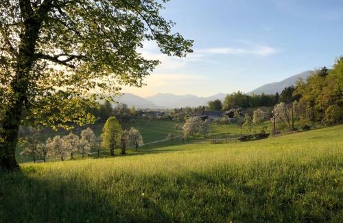 Radovljica House | Apartma Romana