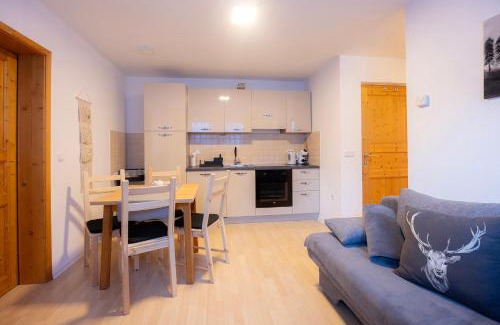 Kranjska Gora Apartment | Apartmaji Anže Kranjska Gora