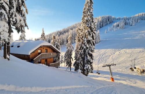 Mozirje Apartment | Apartmaji Golob-Golte