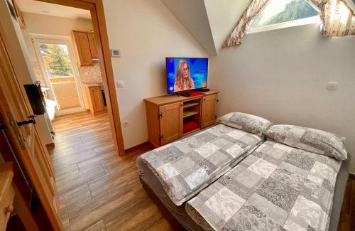 Mozirje Apartment | Apartmaji Golob-Golte