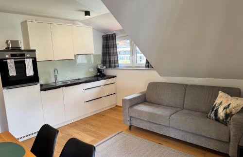 Kranjska Gora Apartment | Apartmaji Kotnik