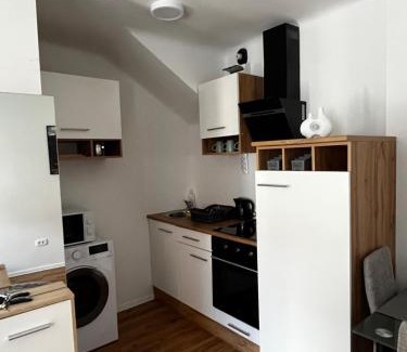 Bezigrad District Apartment | Apartmaji MAS 3