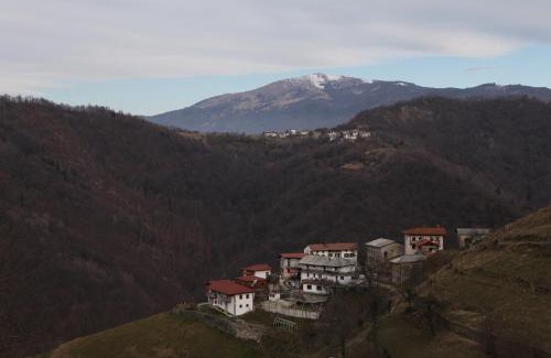 Kambresko Apartment | Apartmaji Nena