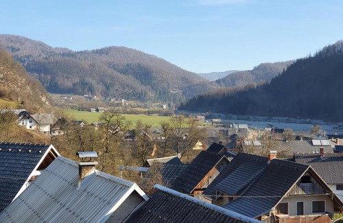 Bohinjska Cesnjica Apartment | Apartmaji Pavc
