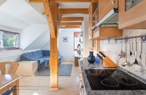 Kranjska Gora Apartment | Apartmaji Potepuh