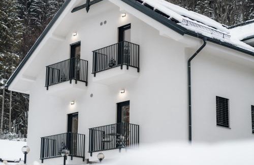 Pohorje Apartment | Apartmaji Vouk - sodobni apartmaji v objemu narave - Lukanja - Rogla - Primerno za pare in družine - Sprostitev in aktivno preživljanje prostega časa