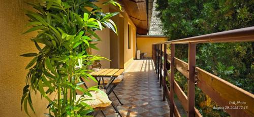 Becej Apartment | Apartman Aleksandra