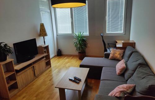 Medijana Apartment | Apartman Aleksic